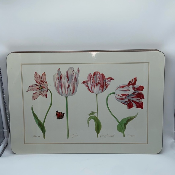 Jason Set of 6 Identical Table Mats - Picture 1 of 5